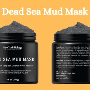 New York Biology Dead Sea Mud Mask Review
